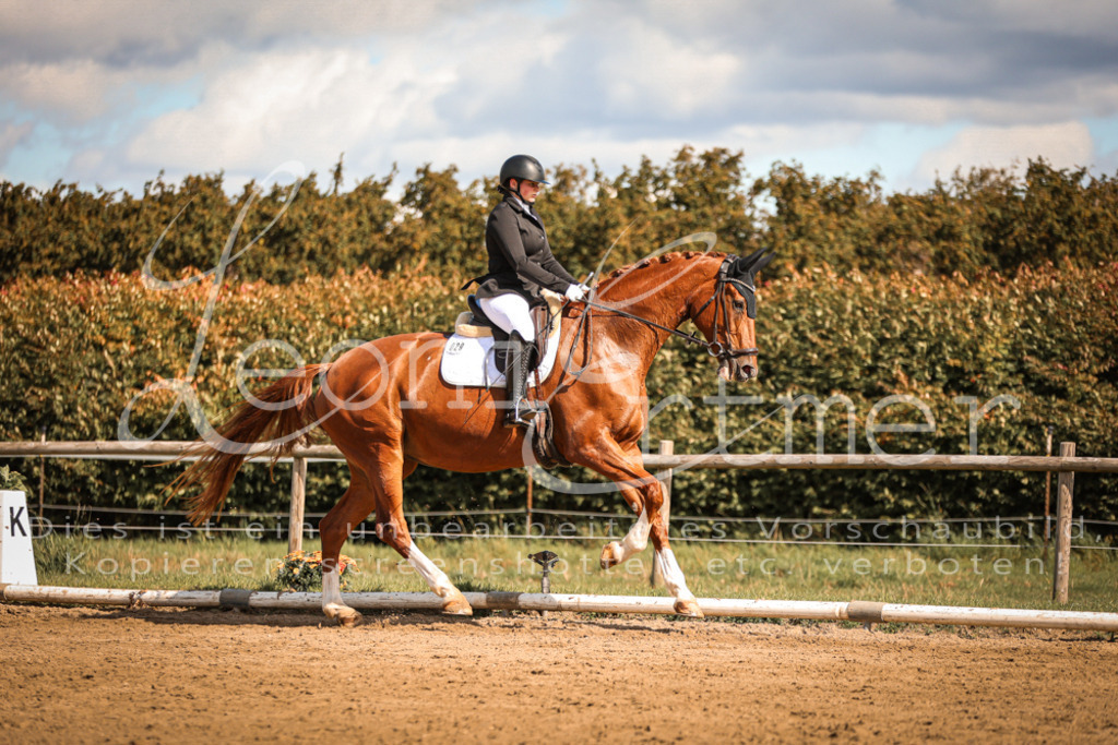 14.SaDrA200206 | Leoni Ertmer Photography - Realisiert mit Pictrs.com