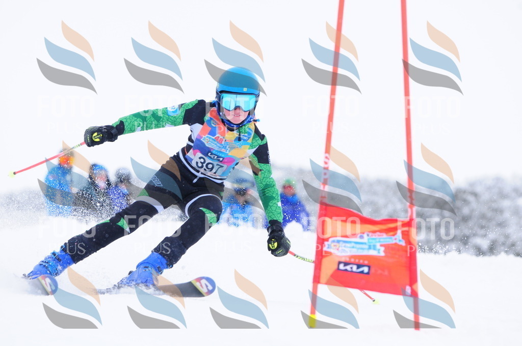 C4206 | holidayphoto