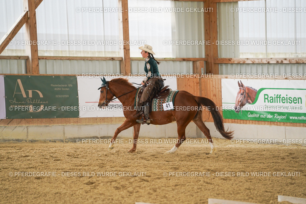 DSC03774 | Pferdegrafie