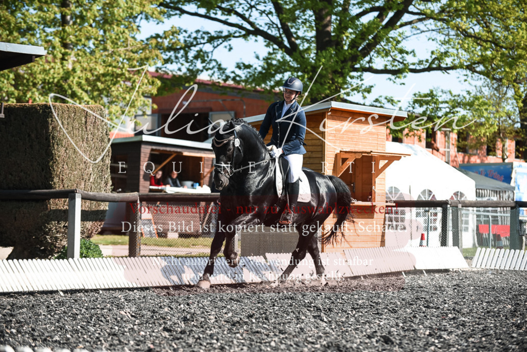 DSC_8480 | Pferde- und Turnierfotografie in Westsachsen. Pferdeportraits, Auftragszeichnungen und intuitive Kunst.