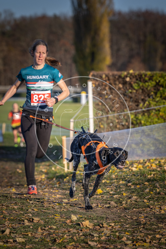 CaniXpix_DV3A3342 | Hundefotografie, Tierfotograf, Pfotenfotografie, Fotoshooting Hund, Hunde Portrait, Hundesport, Hundeportraits, Heideshooting, Hunde, Sportfotograf, Hundefotograf, Turnierhundsport, THS,  - Realisiert mit Pictrs.com