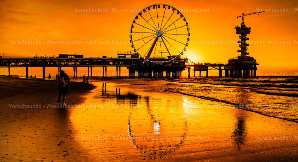 DSC00555-Enhanced-NR | marcuslinek