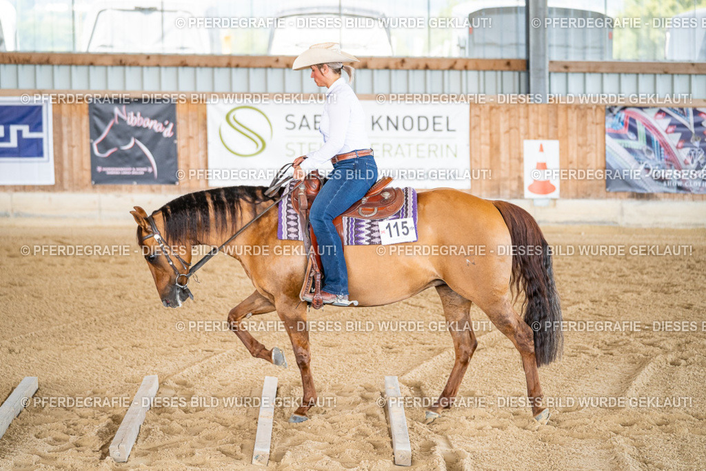 DSC02548 | Pferdegrafie