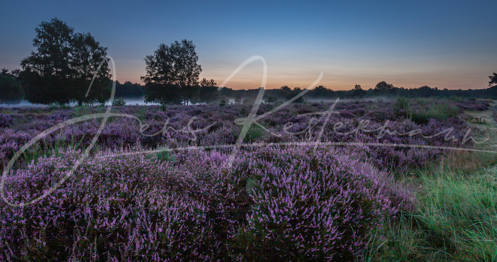 IMG_7370 | Landschaftsaufnahmen aus Deutschland. Sonne, Wasser, Wind und Wahrzeichen - Realisiert mit Pictrs.com