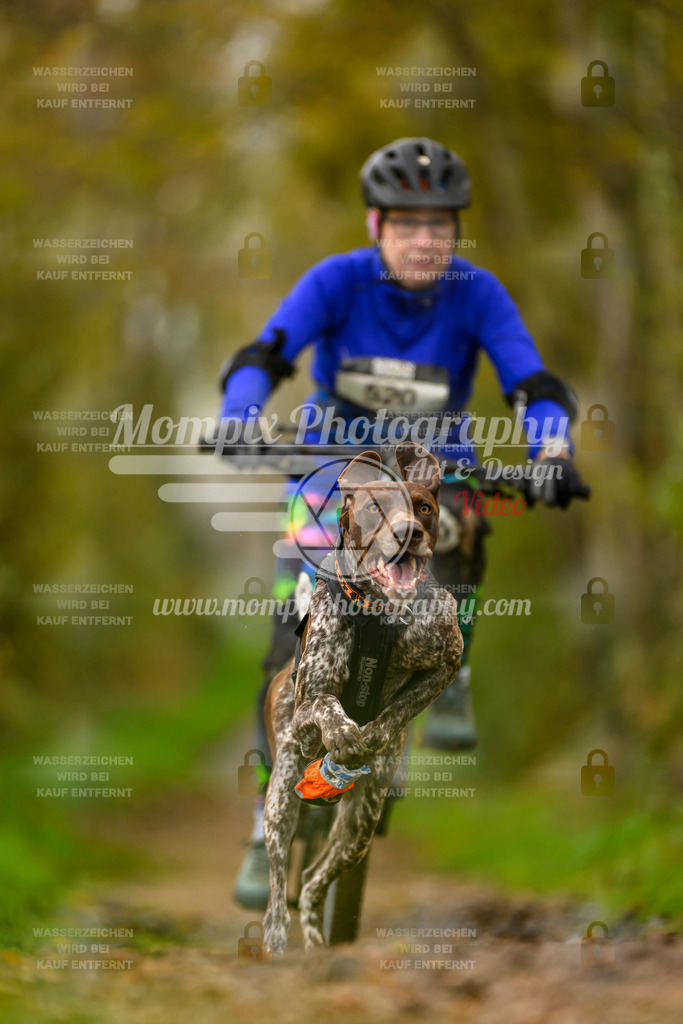 MompixPhotography_20TSB_E6_Bike-84 | PayLife