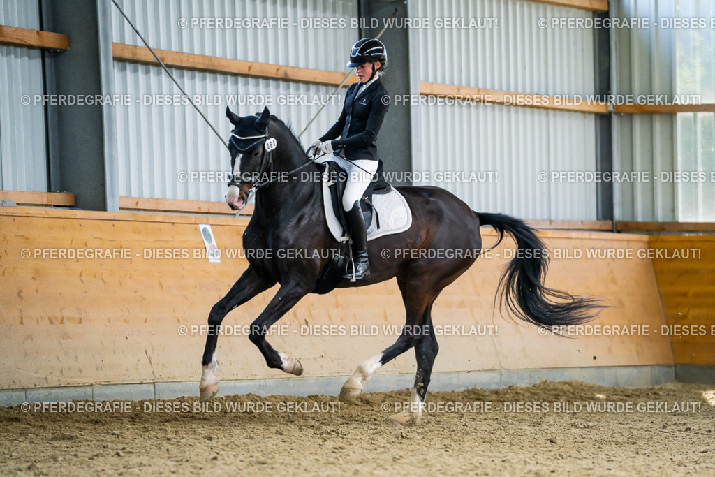 DSC05895 | Pferdegrafie