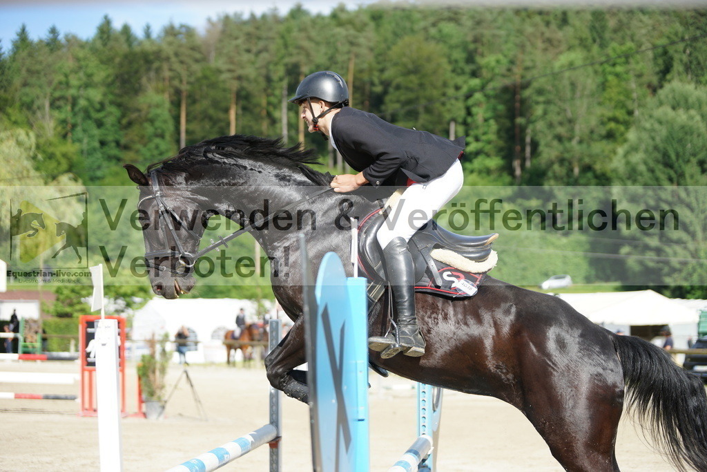 DSC08525 | equestrian-live-com