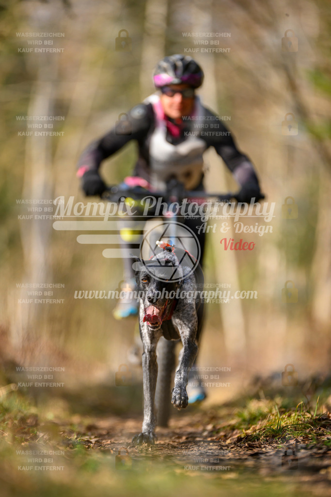 MompixPhotography_6ReiatRennen2026_SO_Bike-5 | PayLife
