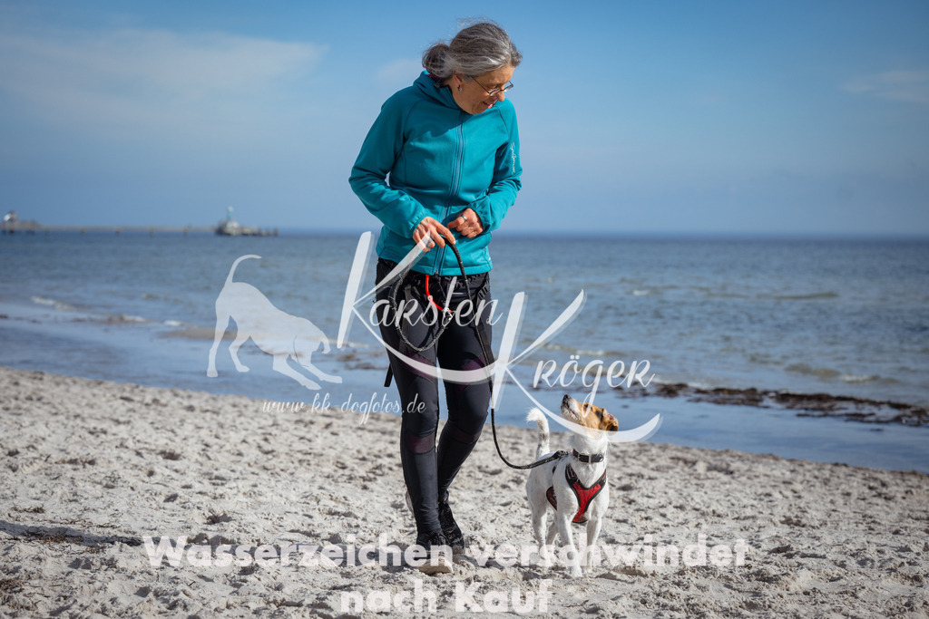 1305_ZZ90287 | kk-dogfotos