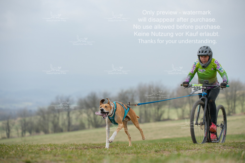 ScooterSA-136 | stephaniefillaphotographie - Realisiert mit Pictrs.com