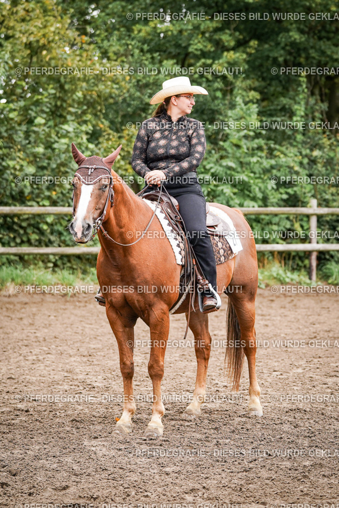 DSC03272 | Pferdegrafie