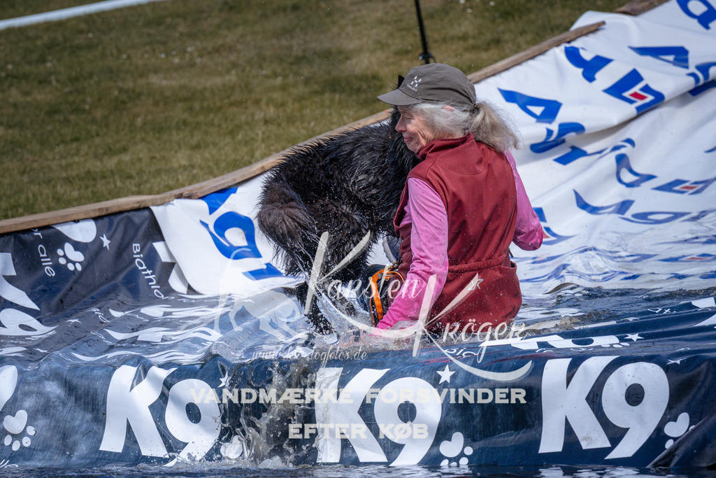 _ZZ930450936 | kk-dogfotos