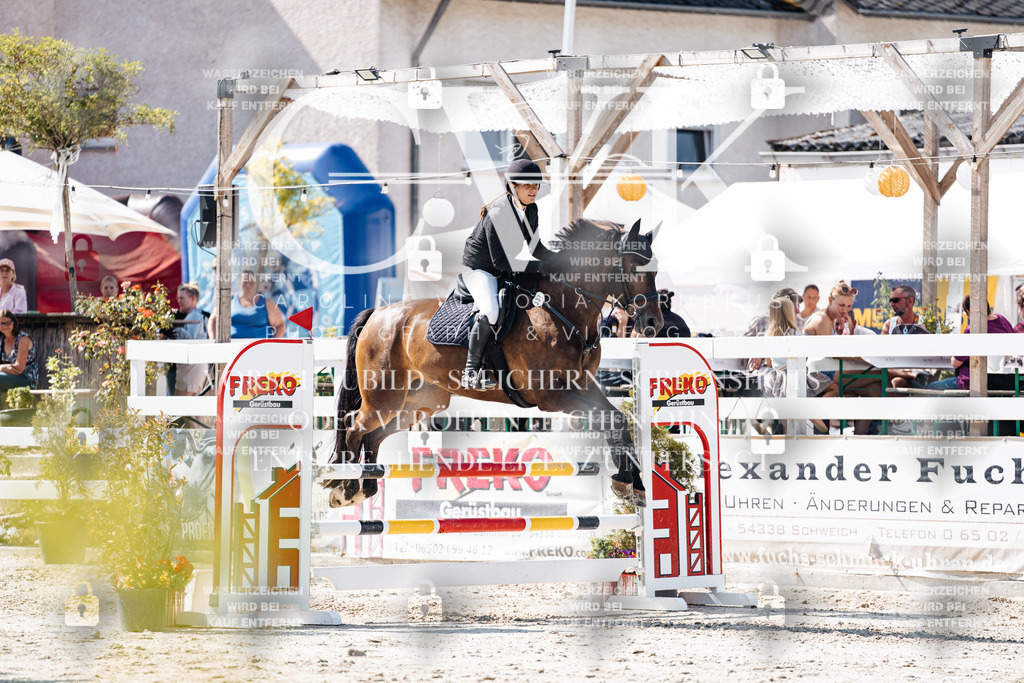 CK908276 | Turnierfotografie Pferdefotografie Trier Rheinland-Pfalz Pferdesport Reitsport Tierfotografie Sportfotografie Pferdevideo Pferdevideografie Equestrianvideography equestrianphotography  - Realisiert mit Pictrs.com