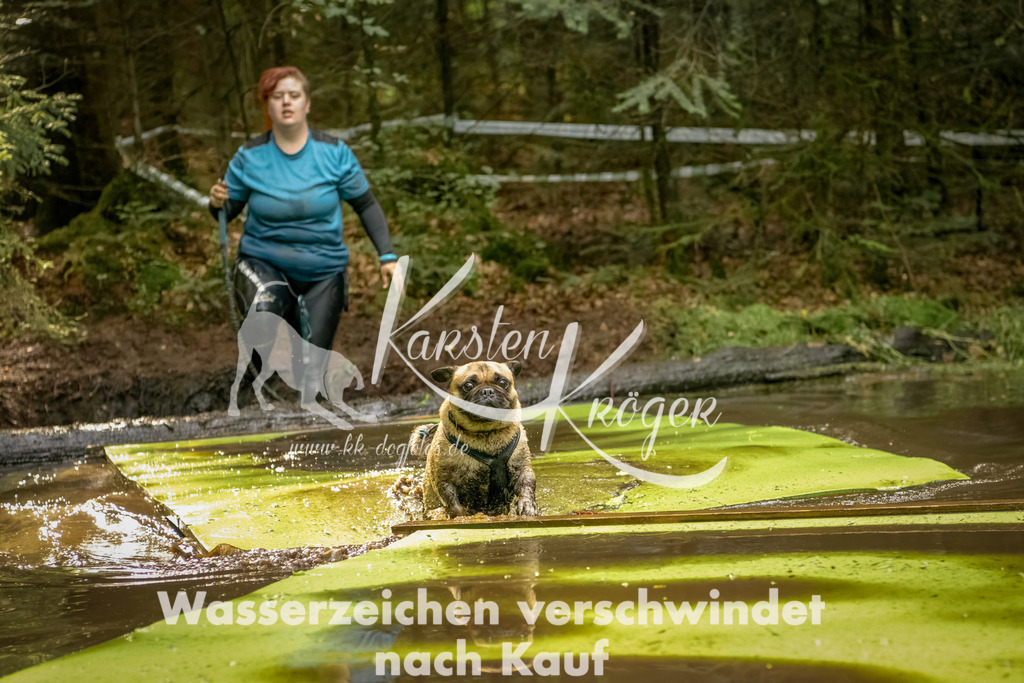 1413_ZZ91626-Bearbeitet | kk-dogfotos