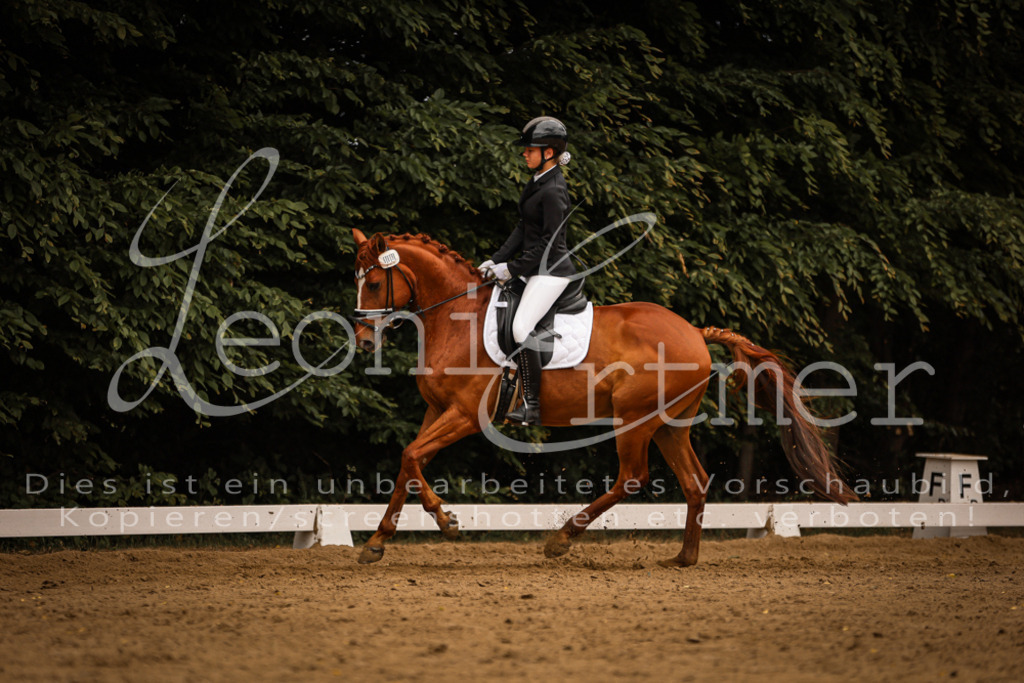 DoDrE00265 | Leoni Ertmer Photography - Realisiert mit Pictrs.com