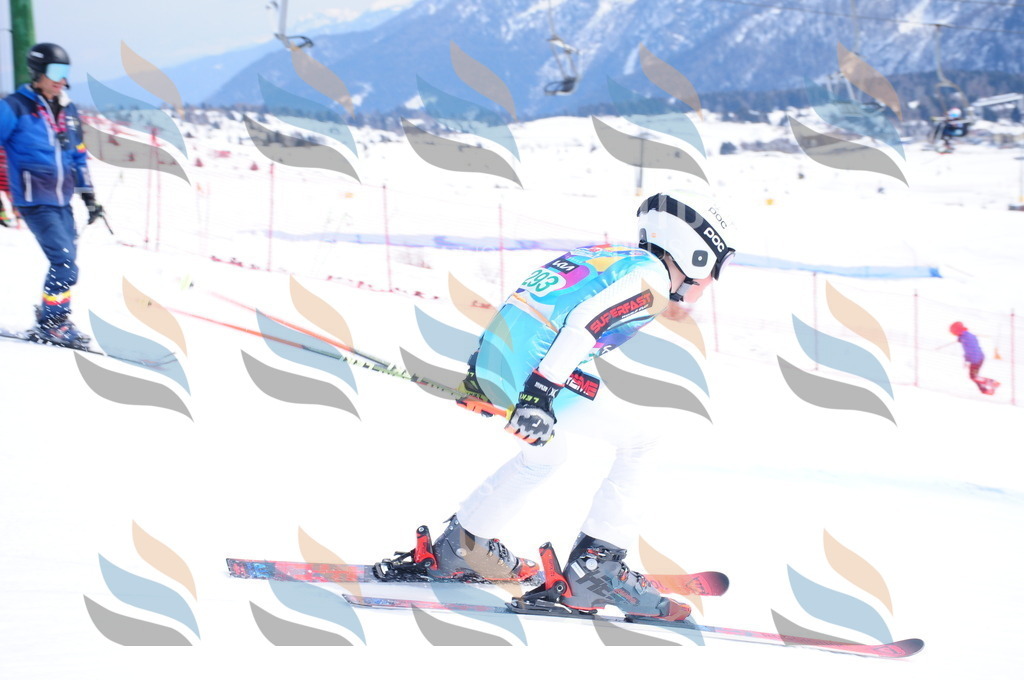 DSC_2825 | holidayphoto