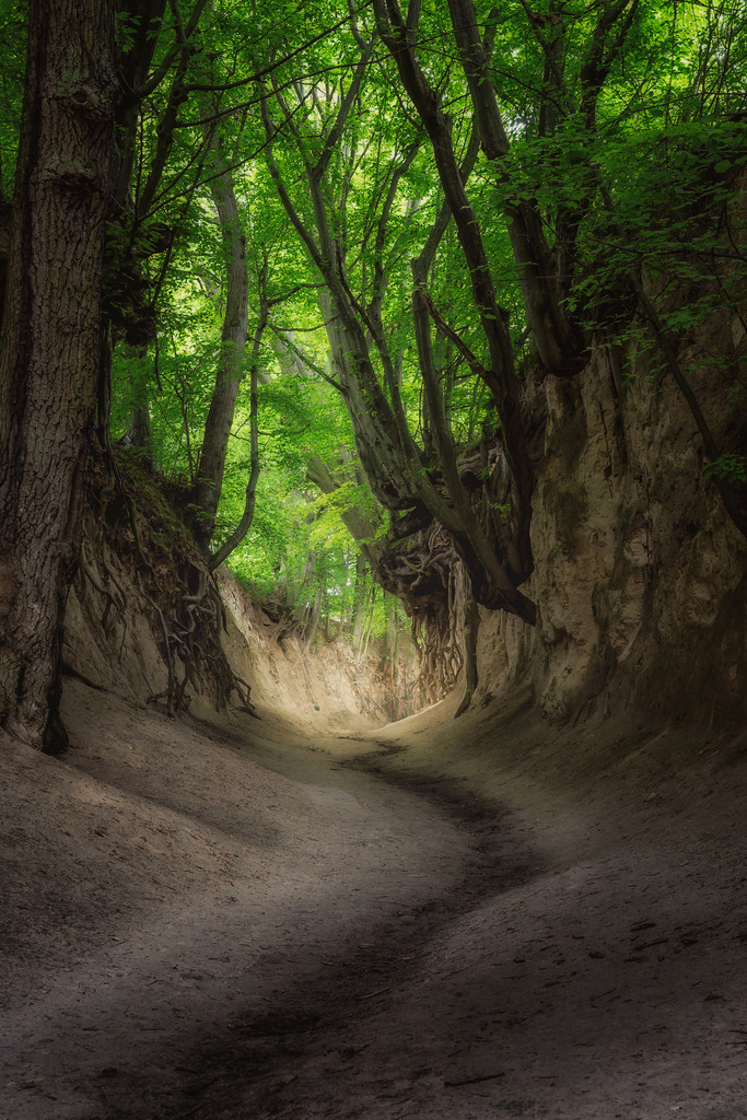 Kazimierz Dolny 1 | Ostpolen, Ausgespülte Schluchten - Realisiert mit Pictrs.com