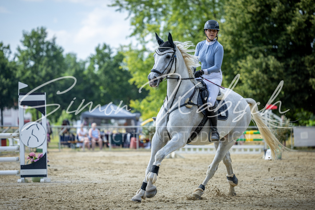20260704-_3LI1586 | Tierfotografie Pferde, Hunde, Katzen, Haustiere.
Turnierfotografie Reitturniere, Reiten, Springreiten, Dressur in Hanau, dem Main-Kinzig-Kreis und dem Rhein-Main- Gebiet um Frankfurt