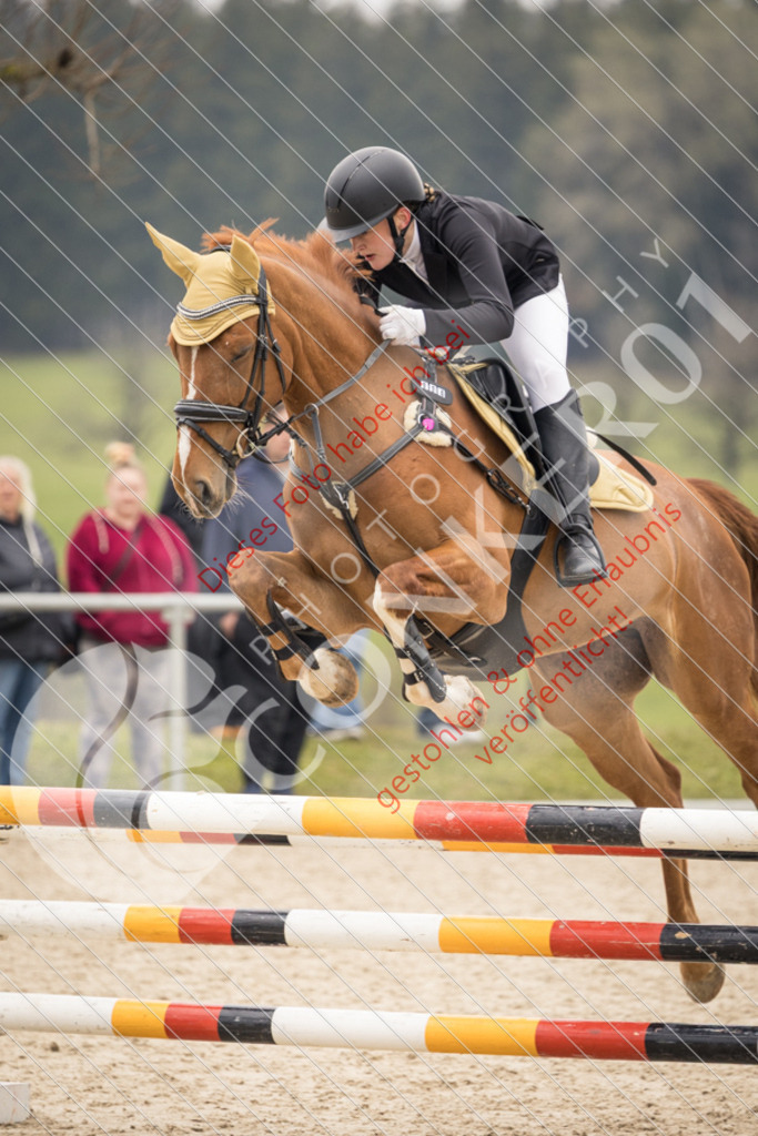CON_1688 | Sport-, Event- und Tierfotos in Profiqualität. Einfach auswählen, bestellen und herunterladen. Dein Moment – perfekt festgehalten.