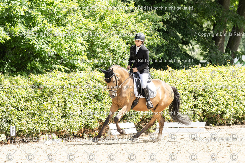 CL5A8300 | Emilia Reinking Fotografie - Realisiert mit Pictrs.com