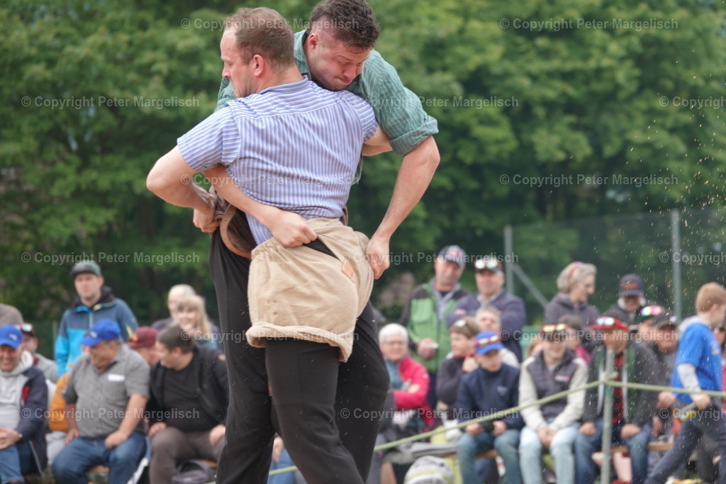 DSC04041 | Schwingen - Realisiert mit Pictrs.com