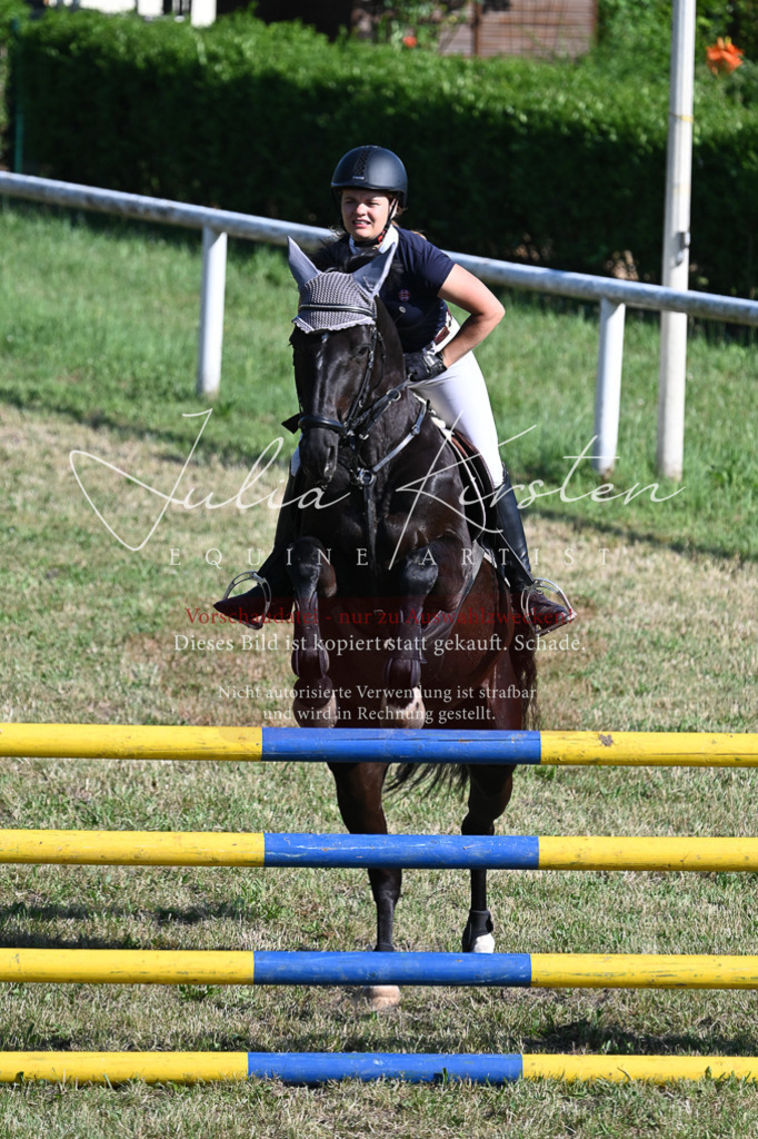DSC_2463 | Pferde- und Turnierfotografie in Westsachsen. Pferdeportraits, Auftragszeichnungen und intuitive Kunst.