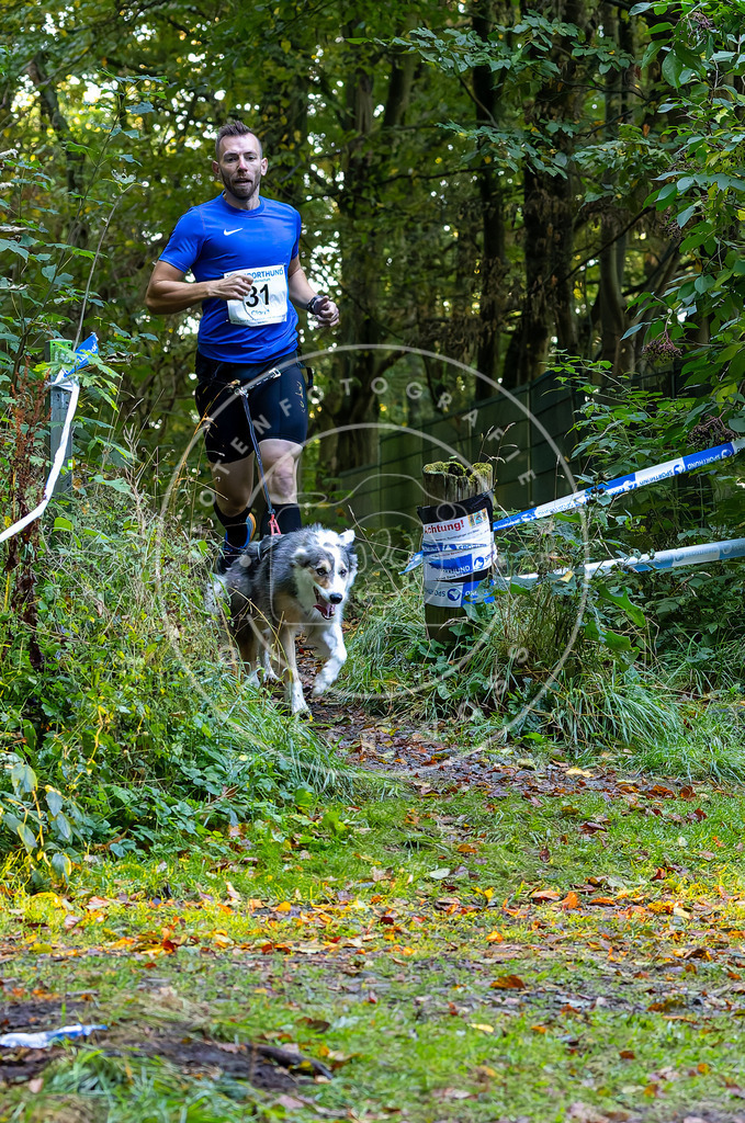 Pfotenfotografie_DV3A6645 | Hundefotografie, Tierfotograf, Pfotenfotografie, Fotoshooting Hund, Hunde Portrait, Hundesport, Hundeportraits, Heideshooting, Hunde, Sportfotograf, Hundefotograf, Turnierhundsport, THS,  - Realisiert mit Pictrs.com