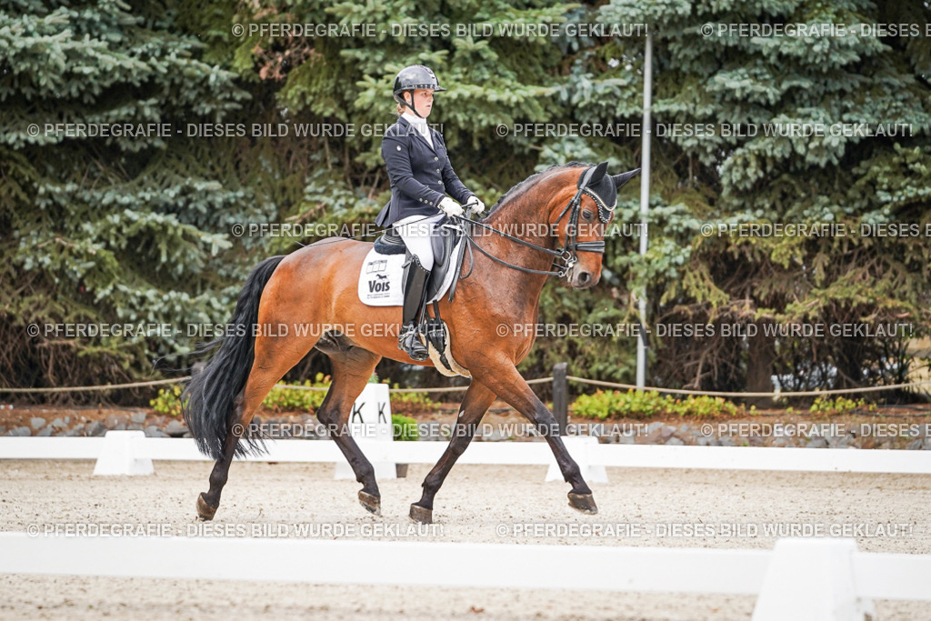 DSC08207 | Pferdegrafie