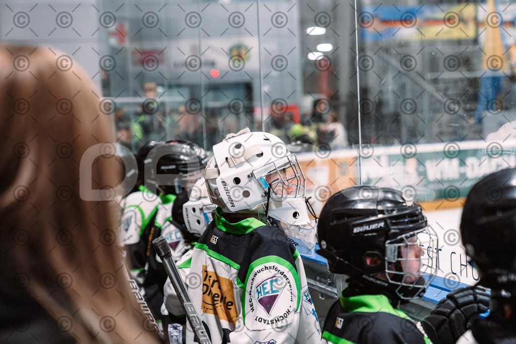 Alligators_vs_Stuttgart_16_11_2025-73 | Höchstadt Alligators Fotogalerie: Eishockey-Action aus Franken. Professionelle Spielfotos, Portraits & Stadionbilder zum Download. Jetzt entdecken! - Realisiert mit Pictrs.com