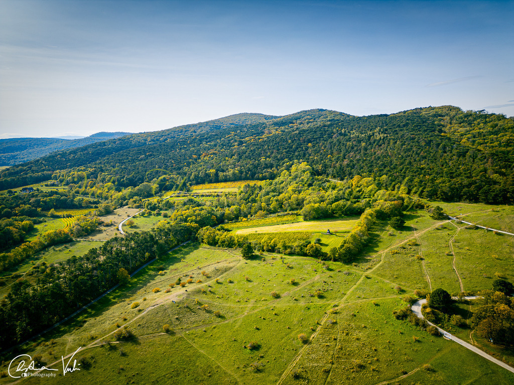 DA 7 | Christian Vulin  - Realisiert mit Pictrs.com