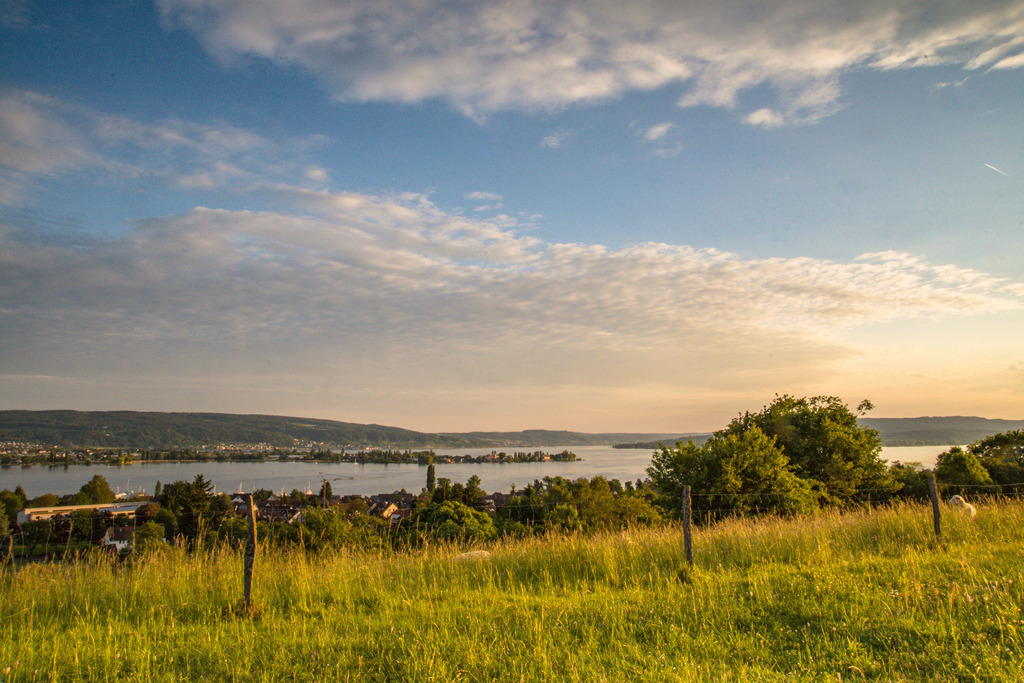 bodensee2-278 | <div id="allefotografen-seal-verified-green"></div><script src="https://www.allefotografen.de/956728/seal-verified-green/seal.js" async="async"></script> - Realisiert mit Pictrs.com