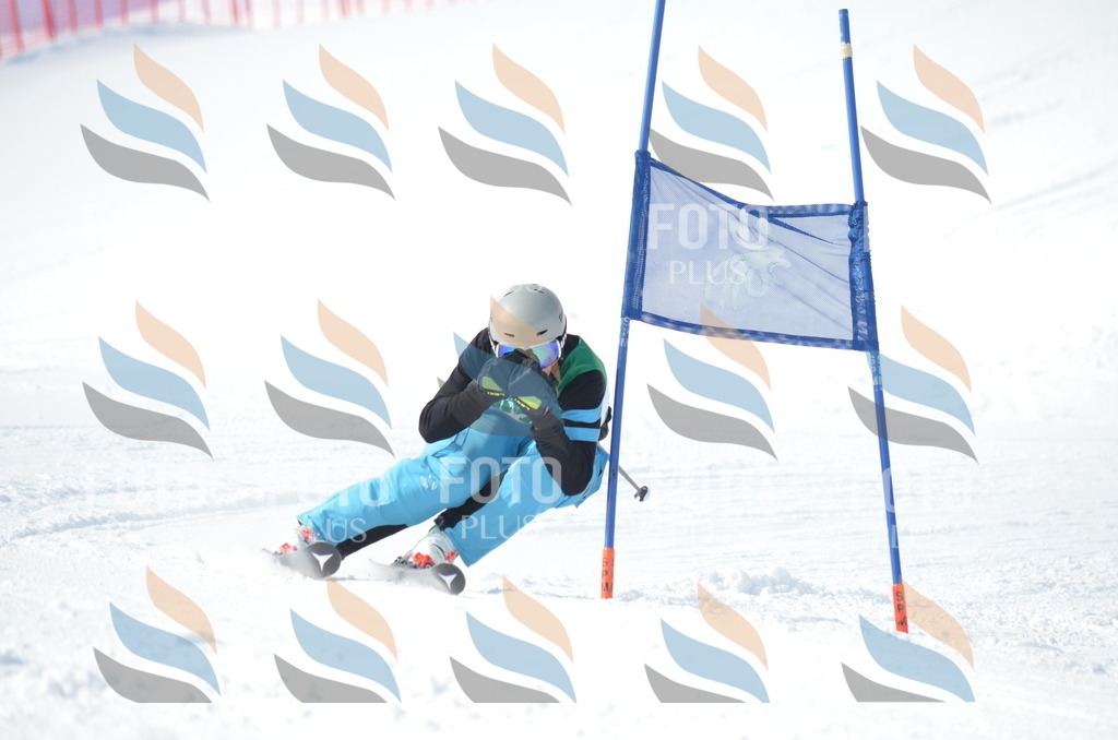 D9227 | holidayphoto