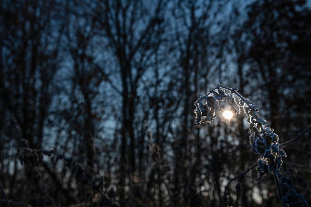 2022_12_17_HETLINGER-SCHANZE_MCP6222 | Hochwertig gedruckte Fotografien für die Wand, als Kalender und zum Verschenken. Hamburg & Norddeutschland und überall wo ich mit der Kamera unterwegs war.