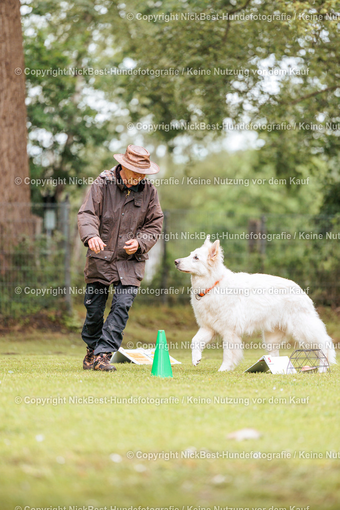 RO-Blumenthal-2026-Nickbest-Hundefotografie-1605 | Dein Hund! Dein Moment! Deine Erinnerungen! Hundefotografie in Bremen Blumenthal. Ich fange die besonderen Momente deines Vierbeiners ein – ob Indoor mit Blitzanlage oder in der freien Natur. Sicher dir dein Moment und dein Termin für eure Erinnerungen.