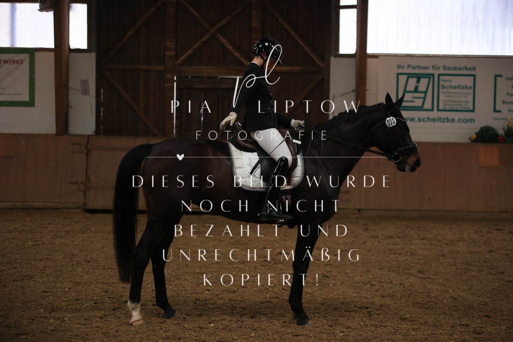 IMGT9070 | pl-fotografie