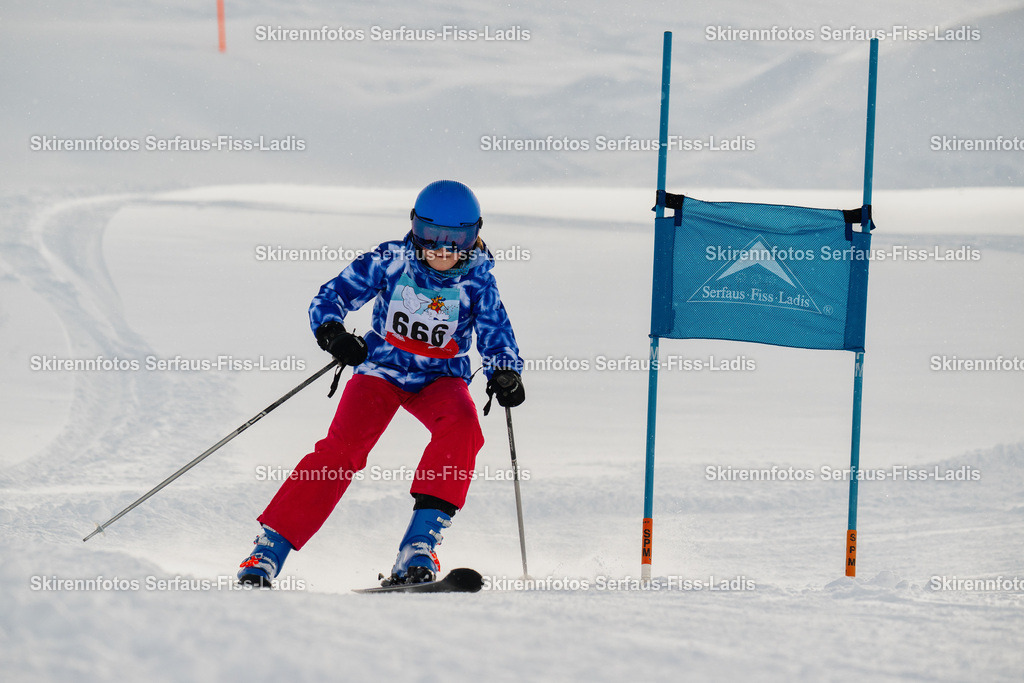 SRF_29.01.2026_0065 | SRF_29.01.2026_0065 - Realisiert mit Pictrs.com