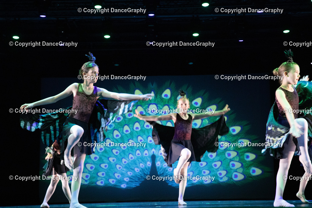 GPHY6172 | DanceGraphy - Realisiert mit Pictrs.com