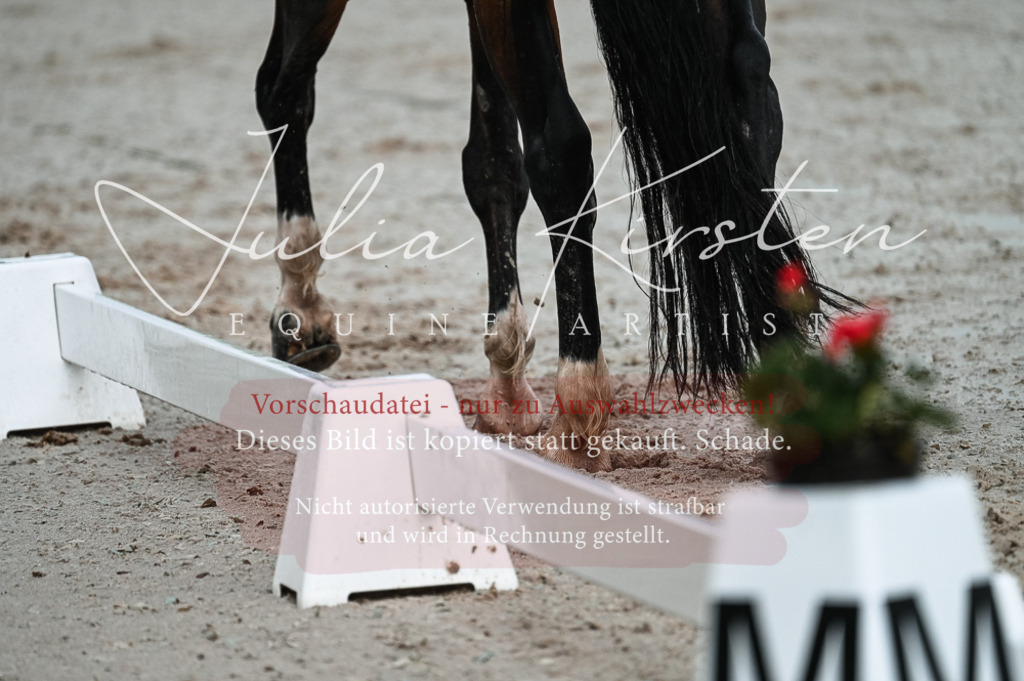 DSC_4164 | Pferde- und Turnierfotografie in Westsachsen. Pferdeportraits, Auftragszeichnungen und intuitive Kunst.