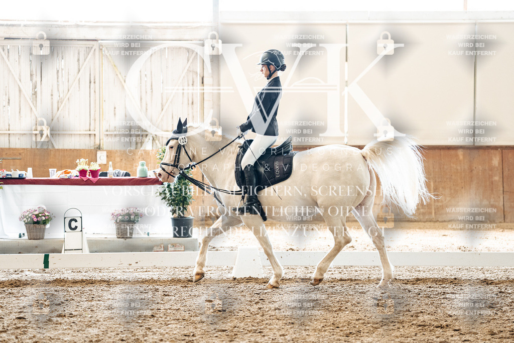 CK900165 | Turnierfotografie Pferdefotografie Trier Rheinland-Pfalz Pferdesport Reitsport Tierfotografie Sportfotografie Pferdevideo Pferdevideografie Equestrianvideography equestrianphotography  - Realized with Pictrs.com