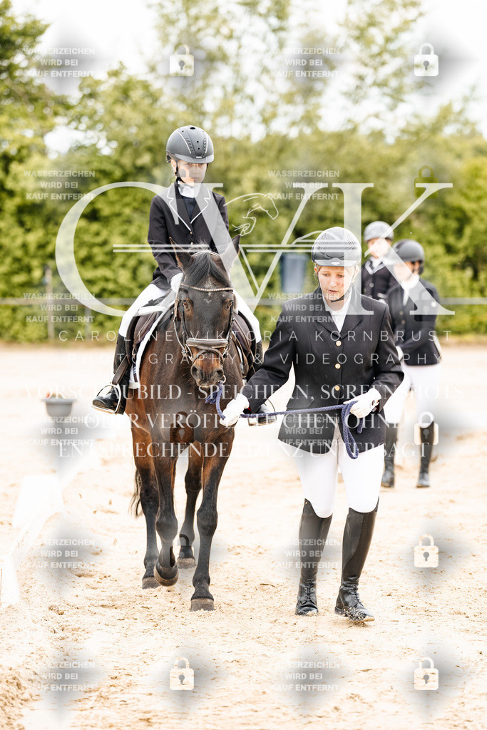 CK903640 | Turnierfotografie Pferdefotografie Trier Rheinland-Pfalz Pferdesport Reitsport Tierfotografie Sportfotografie Pferdevideo Pferdevideografie Equestrianvideography equestrianphotography  - Realisiert mit Pictrs.com