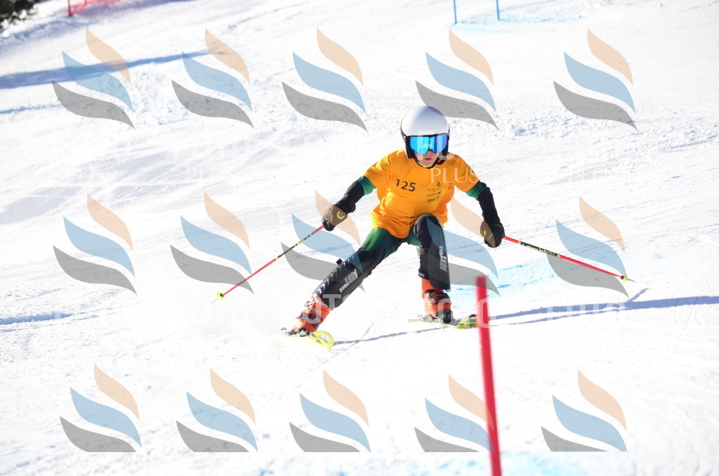 C6390 | holidayphoto