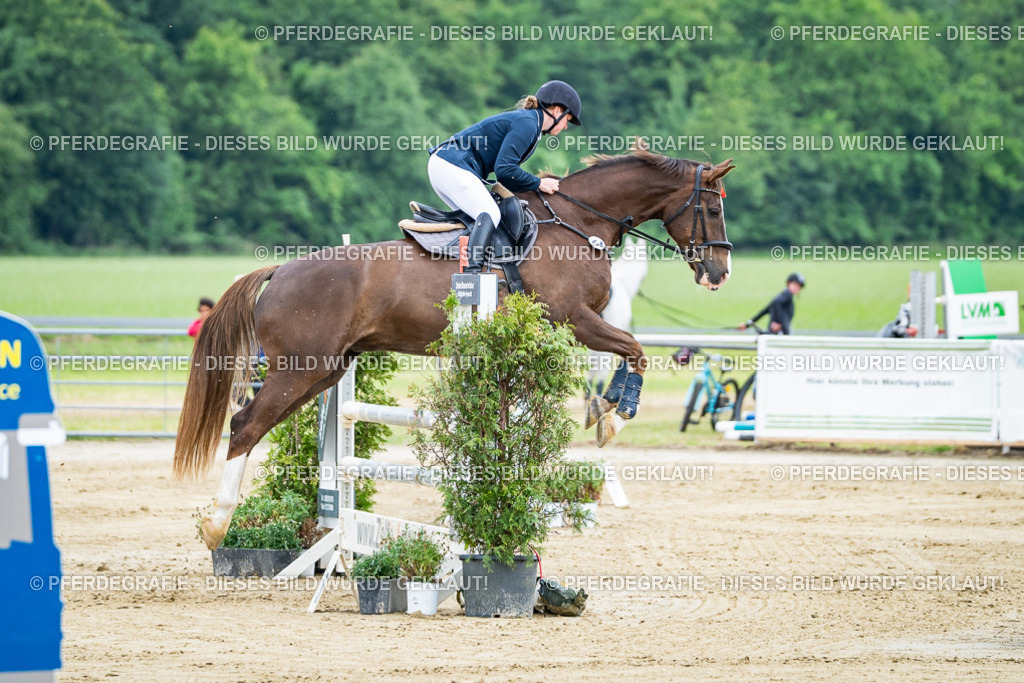 DSC03779 | Pferdegrafie