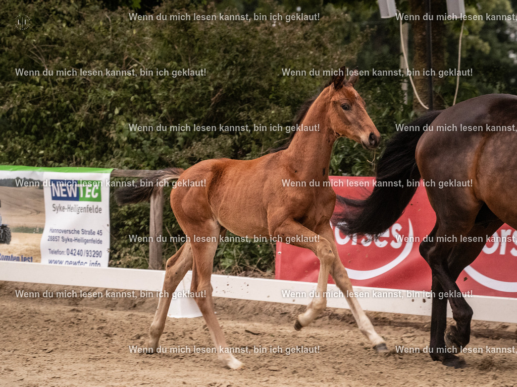 A10I6509 | photographylinaismer - Realisiert mit Pictrs.com