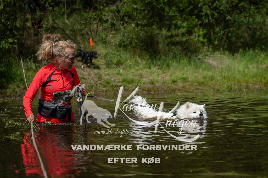 1222DKK992629 | kk-dogfotos