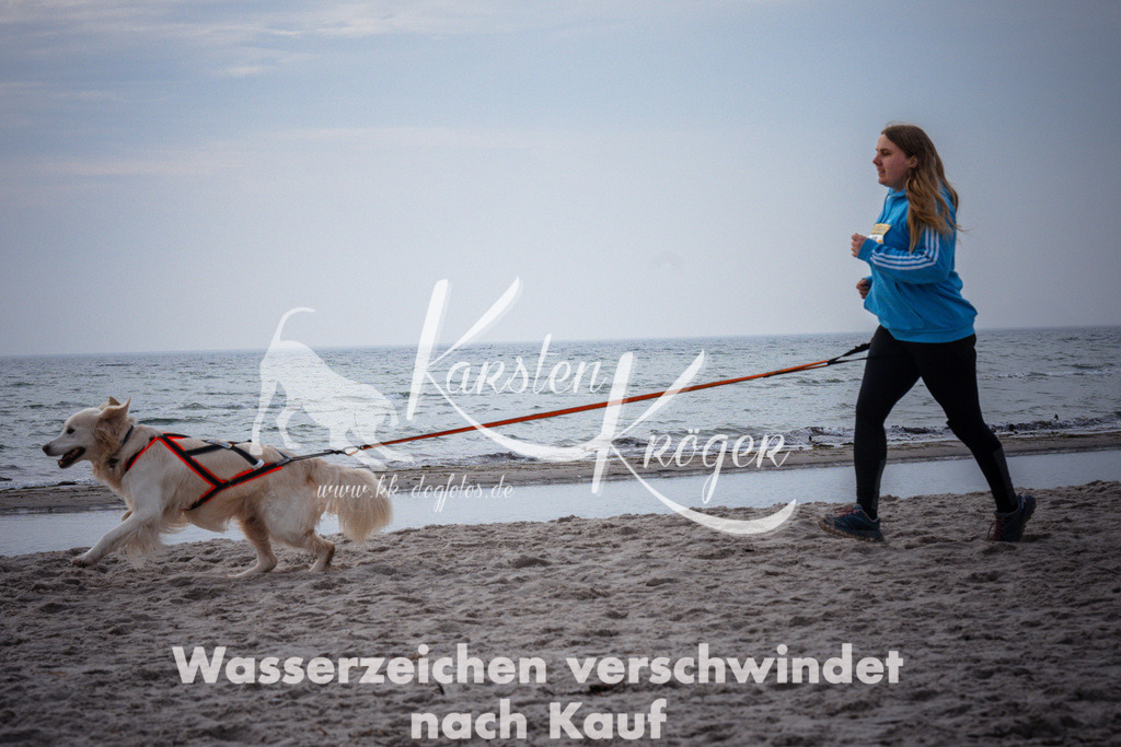 1040_ZZ95889 | kk-dogfotos