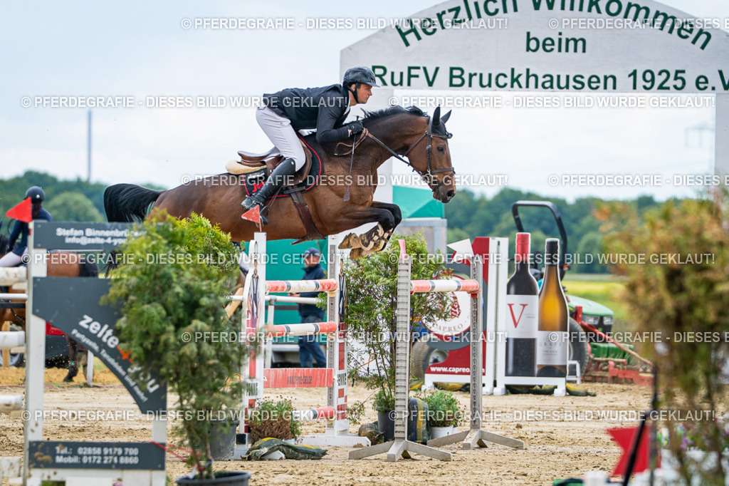 DSC06063 | Pferdegrafie