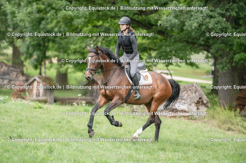 20250726_Vielseitigkeitslehrgang-Marbach_0682 | Foto: Thomas Hartig