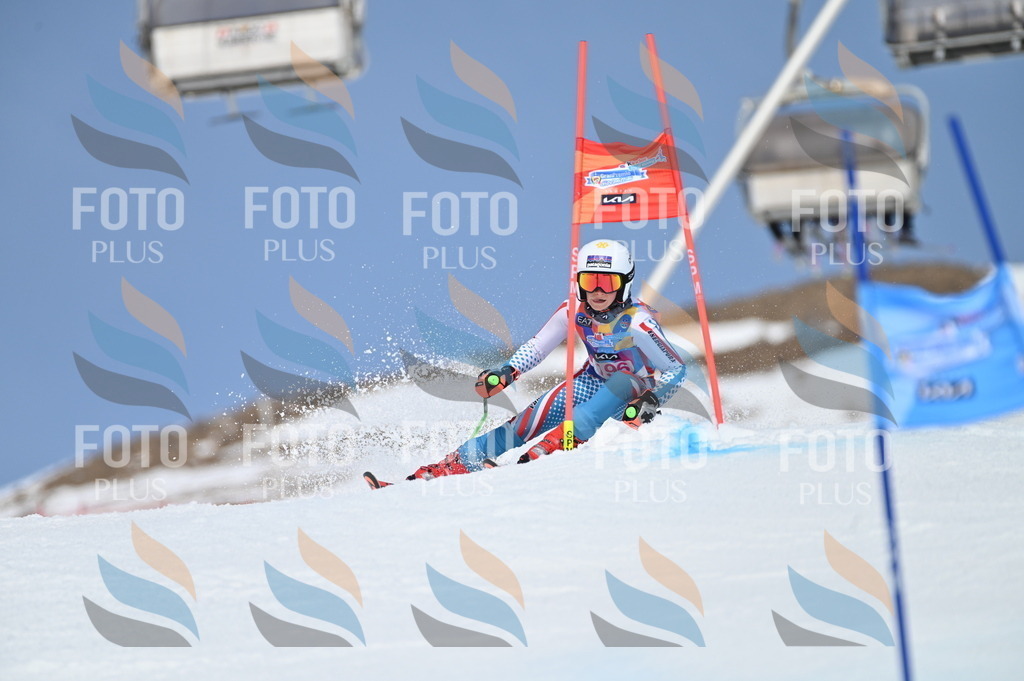 BGV_0890 | holidayphoto