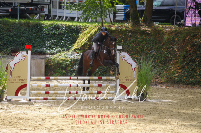 DKP40337 | Turniersportfotografie; Pferdefotografie; Dressurfotografie