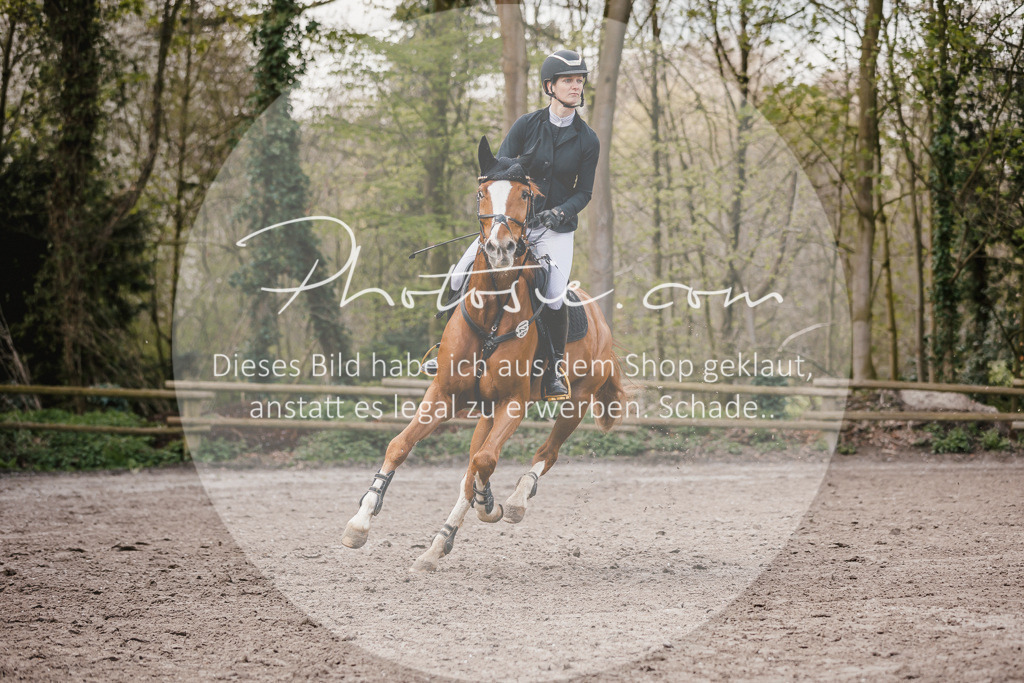 3I6A4355 | Stimmungsvolle Portraits und Reitsportfotografie im Ruhrgebiet und im Münsterland.

Pferdefotografie, Hundefotografie, Tierfotografie, Reportagen, Portraits von Tier und Mensch, Turnierfotografie in Bochum, Recklinghausen, Marl, Haltern am See, Dülmen.. - Realisiert mit Pictrs.com